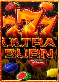 วิธีเล่น slot dead or alive ที่ไม่ควรพลาด